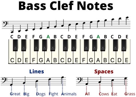 Image result for Piano Notes for Beginners