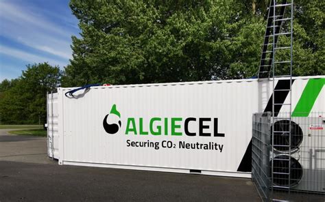 News & Events - ALGIECEL