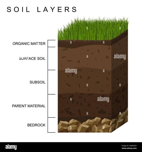 Layers Of Soil Topsoil Subsoil Bedrock The 5 Layers Of Soil || Soil