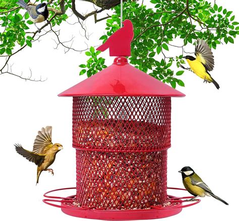 Amazon.com : Fabulas Bird Feeders for Outdoors Hanging, Wild Bird ...