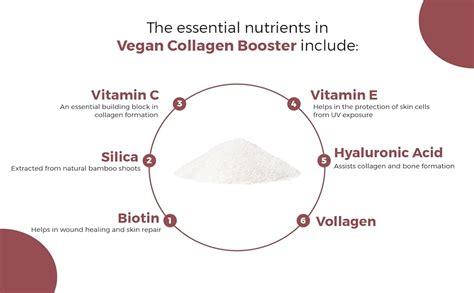 NatureAlly Plant Based Collagen Booster For Healthy & Youthful Skin ...