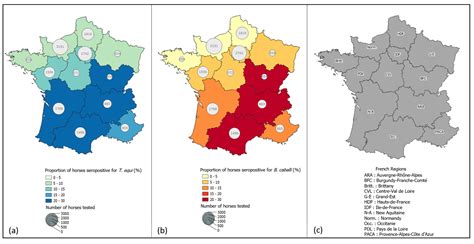Spatial and Temporal Circulation of Babesia caballi and Theileria equi ...