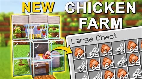 Image result for Efficient Chicken Farm Minecraft Java
