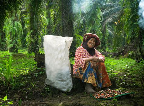 Why we need an alternative to palm oil