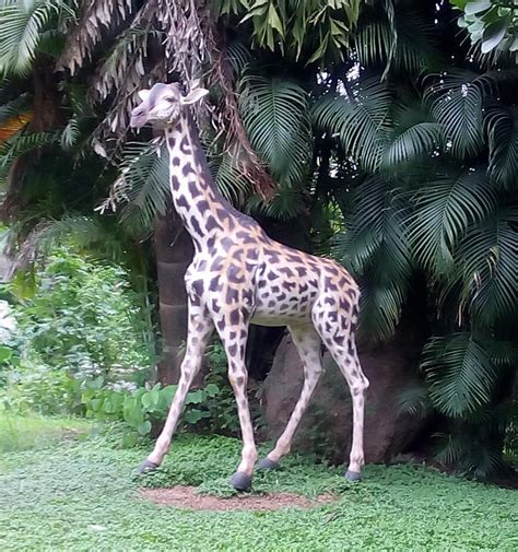 BAGUL UDYAN (2025) All You Need to Know BEFORE You Go (with Photos ...