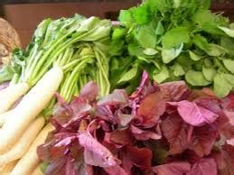 Goa :Horticulture - GPSC (Goa) PDF Download