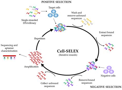 Bioaffinity Nanoprobes for Foodborne Pathogen Sensing