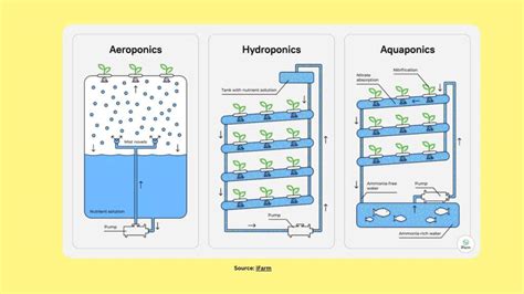 Vertical Farming Process 的图像结果