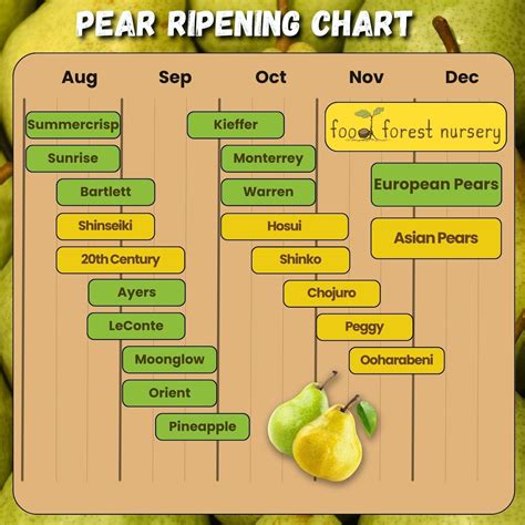 Tree Fruit Ripening Chart Recent Advances In Studying The Regulation