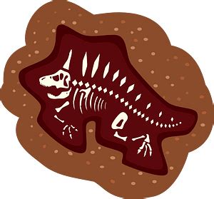 Dinosaur fossil - Free vector clipart images on creazilla.com