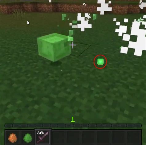 All About Frogs & How To Breed Frogs In Minecraft