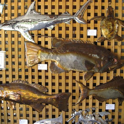 BORANUP GALLERY (2024) All You Need to Know BEFORE You Go (with Photos ...