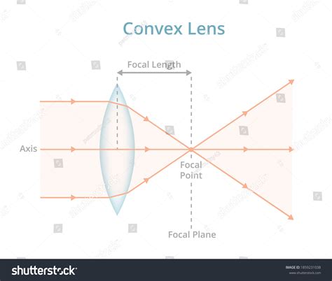 Plano Convex Lens Ray Diagram