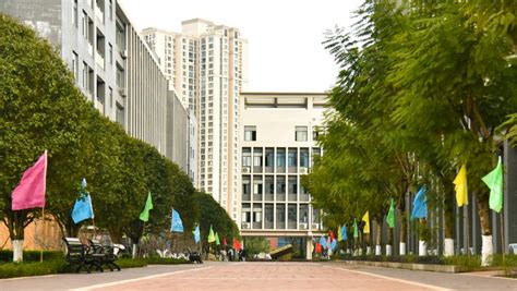 我校召开2022年外国留学生奖学金评审会-重庆交通大学新闻网