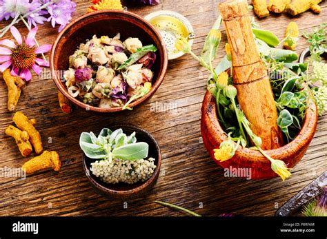 Herb Medicine 的图像结果