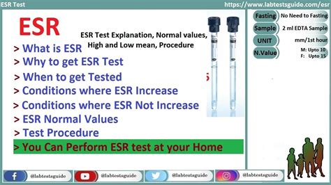 ESR Testing 的图像结果