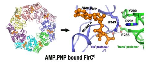 RRCAT- Raja Ramanna Centre for Advanced Technology, Indore