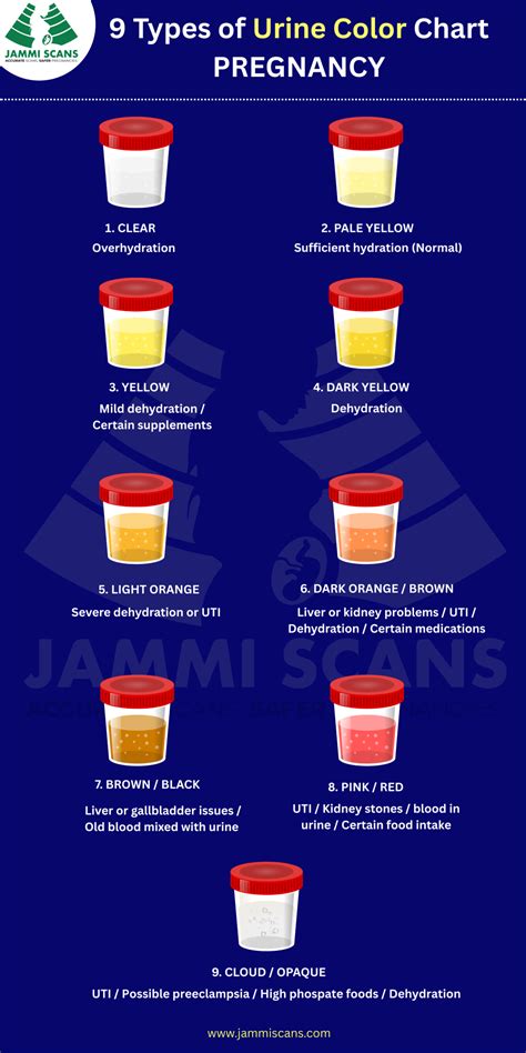 Urine Color During Pregnancy: Which Urine colour is Normal?