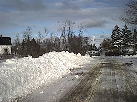 Storm Stories in 2003 的图像结果