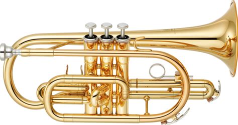 Image result for Cornet Musical Instrument