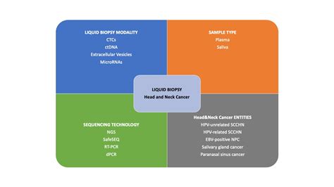 Liquid Biopsy in Head and Neck Cancer: Current Evidence and Future ...
