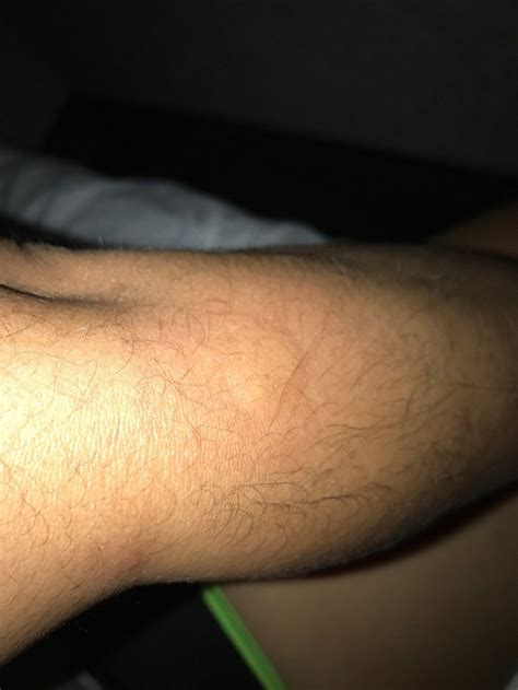 NIGHT LODGE POCONO/BARTONSVILLE - Hotel Reviews, Photos, Rate ...