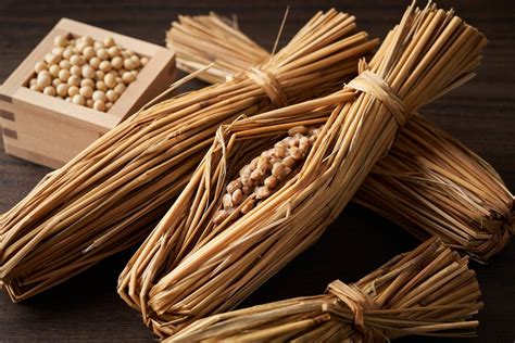 Buy Japanese Natto Products Online – Japanese Taste