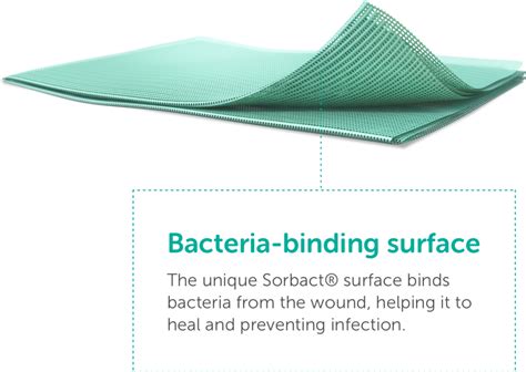 Image result for Sorbact Compress