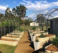 Image result for Birdies Raised Beds