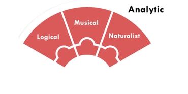 Mc Kenzie's Classification of Intelligences | IES