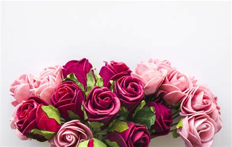 Wallpaper flowers, roses, pink, pink, flowers, beautiful, romantic ...