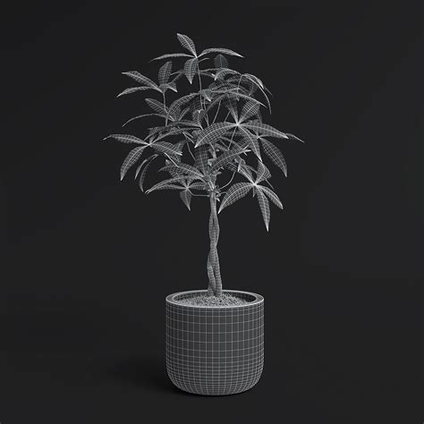 Image result for Money Tree Machine