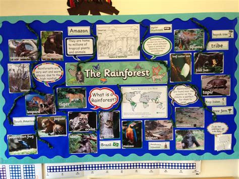 Access Primary Resources - Early Years, Pre-Primary, Primary Classes ...