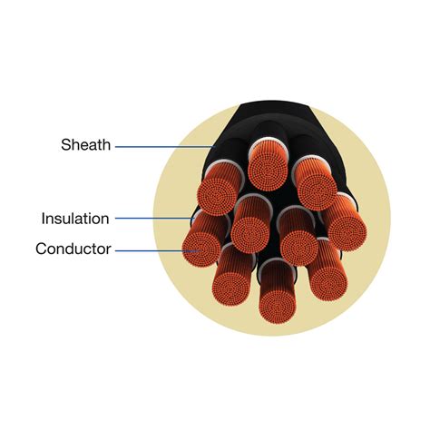 Havells Multicore Round Cables, 10core 1.50sq mm | mykit | Buy online ...