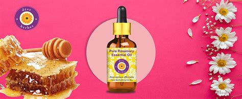 Buy Deve Herbes Rosemary Essential oil (Rosmarinus officinalis) Pure ...
