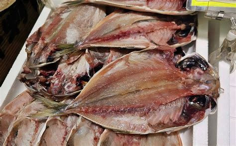 Fehler führt zu einer Flut von 60 Yen Spenden im Rahmen des ...