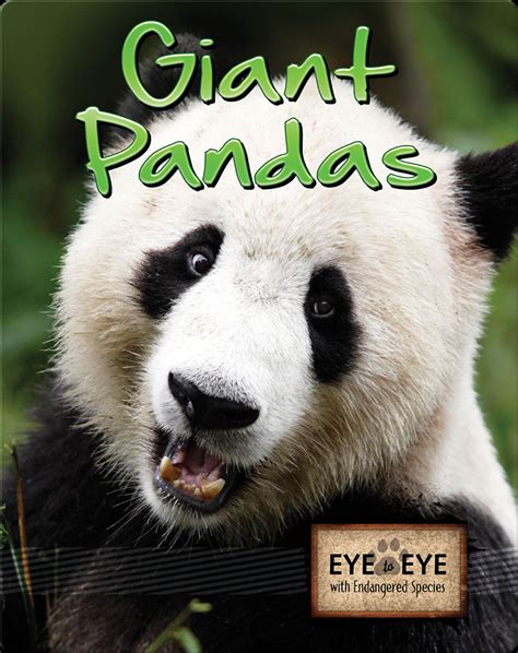 Giant Pandas Book by Tom Greve | Epic