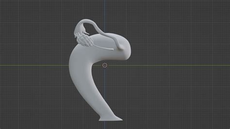 Image result for Reproductive System 3D Model