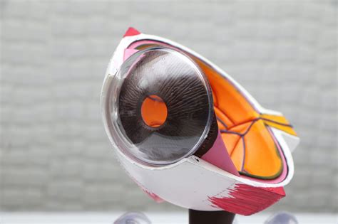 Welcome - Southland Eye Clinic