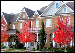 MBM Group Property Management | Hoboken, NJ | Request A Free Quote