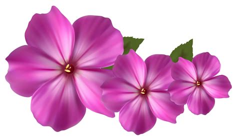 Free Pink Flower Images, Download Free Pink Flower Images png images ...