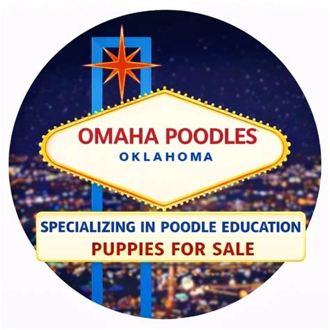 OMAHA POODLES - Poodles, Phantom, Sable, Brindle,parti, Standaed ...