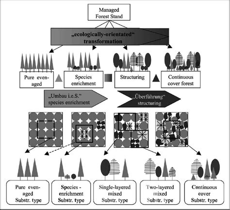 Forestry Model 4 的图像结果