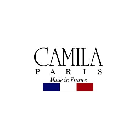 Buy Camila Paris CP3077 French Twist Stick Clip Pins, Gray, Wavy Hair ...