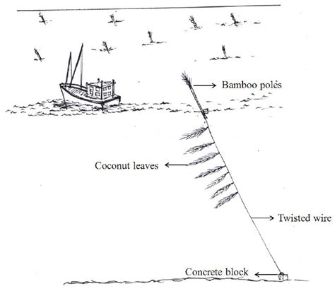Fisheries 的图像结果