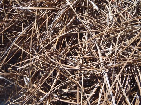 Bulk & Baled Mulch - Hacker Services, Northville