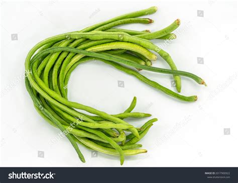 3,792 ถั่วฝักยาว Images, Stock Photos, 3D objects, & Vectors | Shutterstock