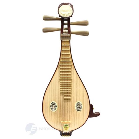 Image result for Plucked String Instrument
