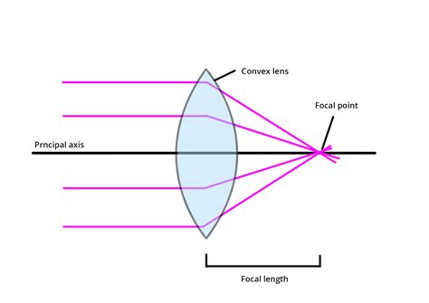 What are concave and convex lenses? Definition, Types and Importance ...