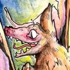 Image result for Zeppyscripts